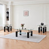 Glossy black 3-Piece Coffee & End Table Set
