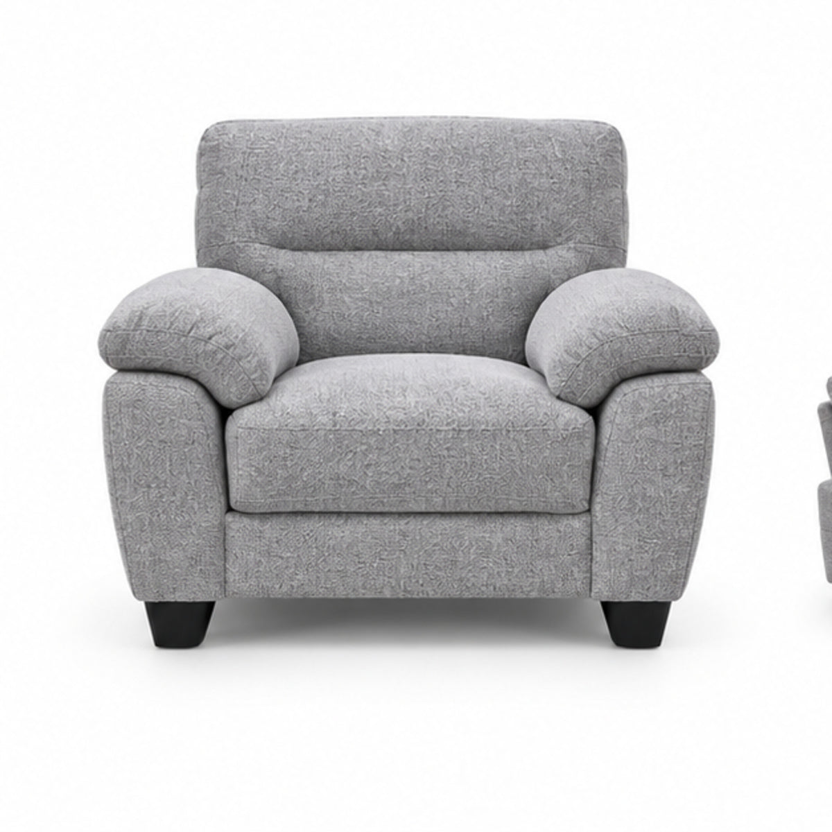 Modern Light Grey Performance Fabric 3-Piece Sofa, Loveseat & Chair Set — chair clean product